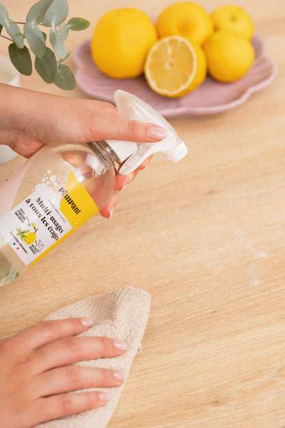 Bouteille spray multi usages rechargeable - 2